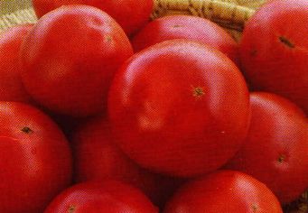tomat04.JPG (14604 octets)